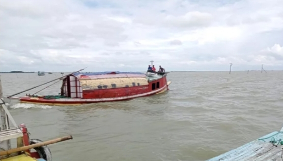 পলিমাটি