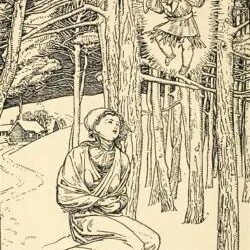 পলিমাটি