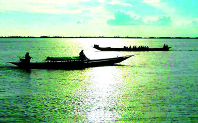 পলিমাটি